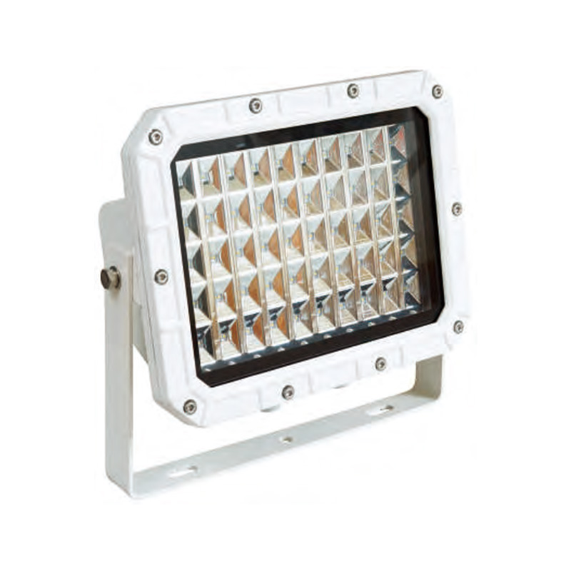 TG21-L LED Marine Spot Light