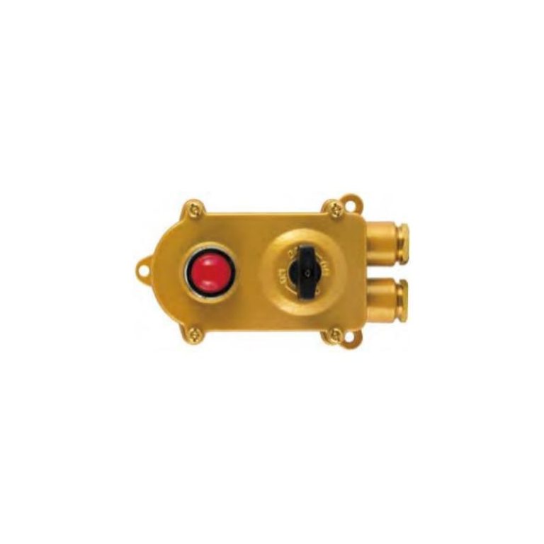 Marine brass switch with indicator light